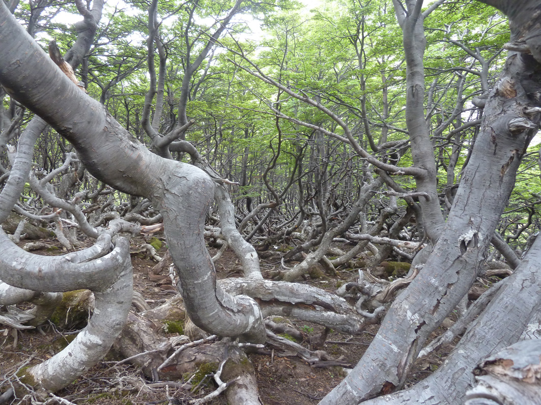 Ushuaia3.jpg
