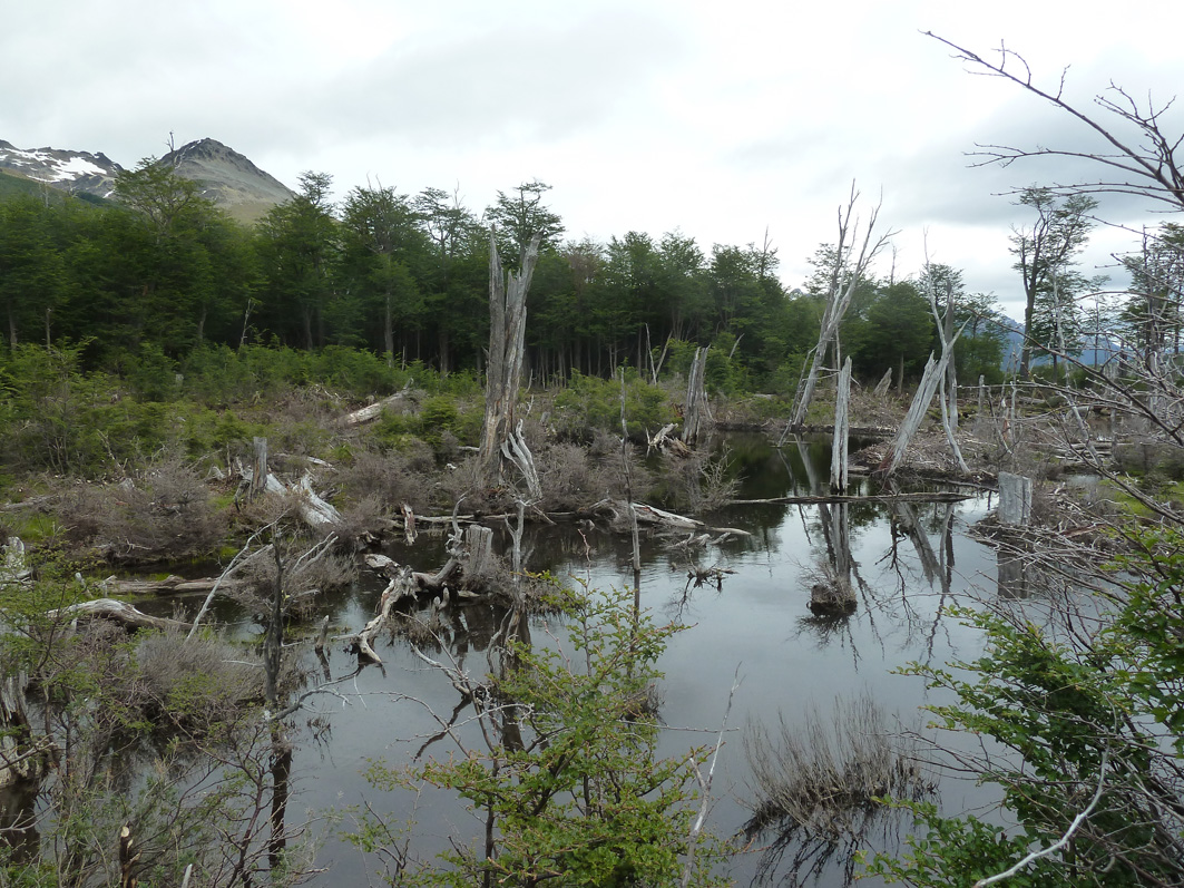 Ushuaia4.jpg