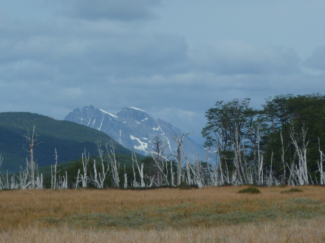 Ushuaia6.jpg